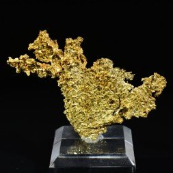Cristallized gold - Oriental mine, California, USA