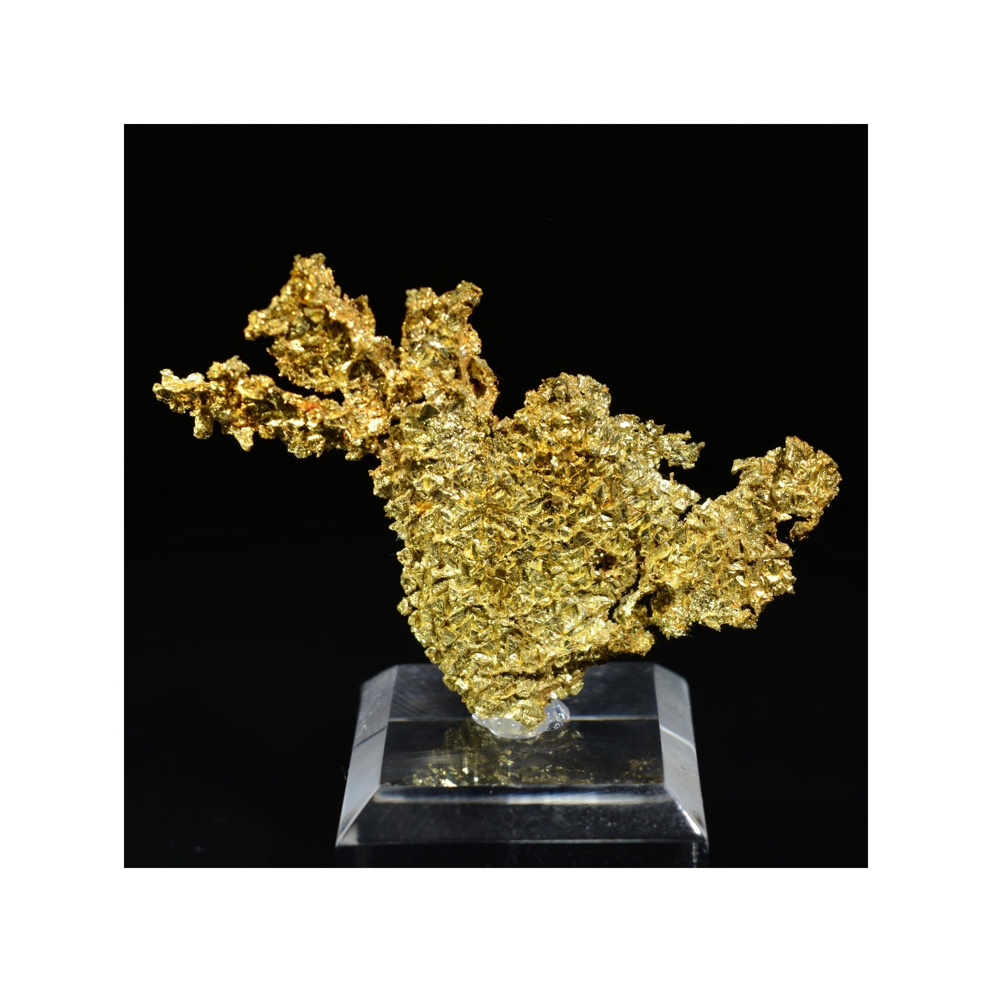 Cristallized gold - Oriental mine, California, USA