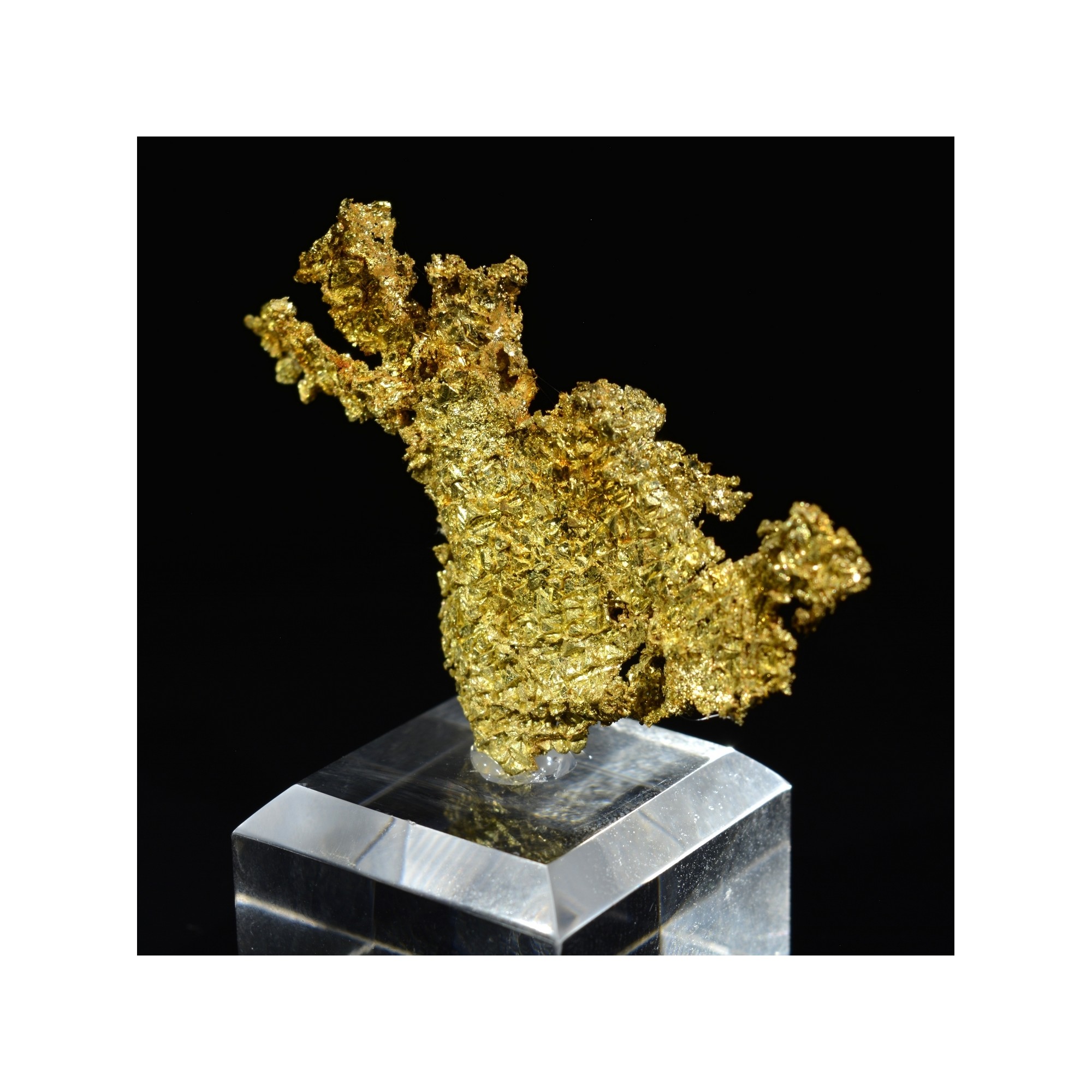 Or cristallisé - Mine Oriental, Californie, Etats-Unis