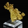 Cristallized gold - Oriental mine, California, USA