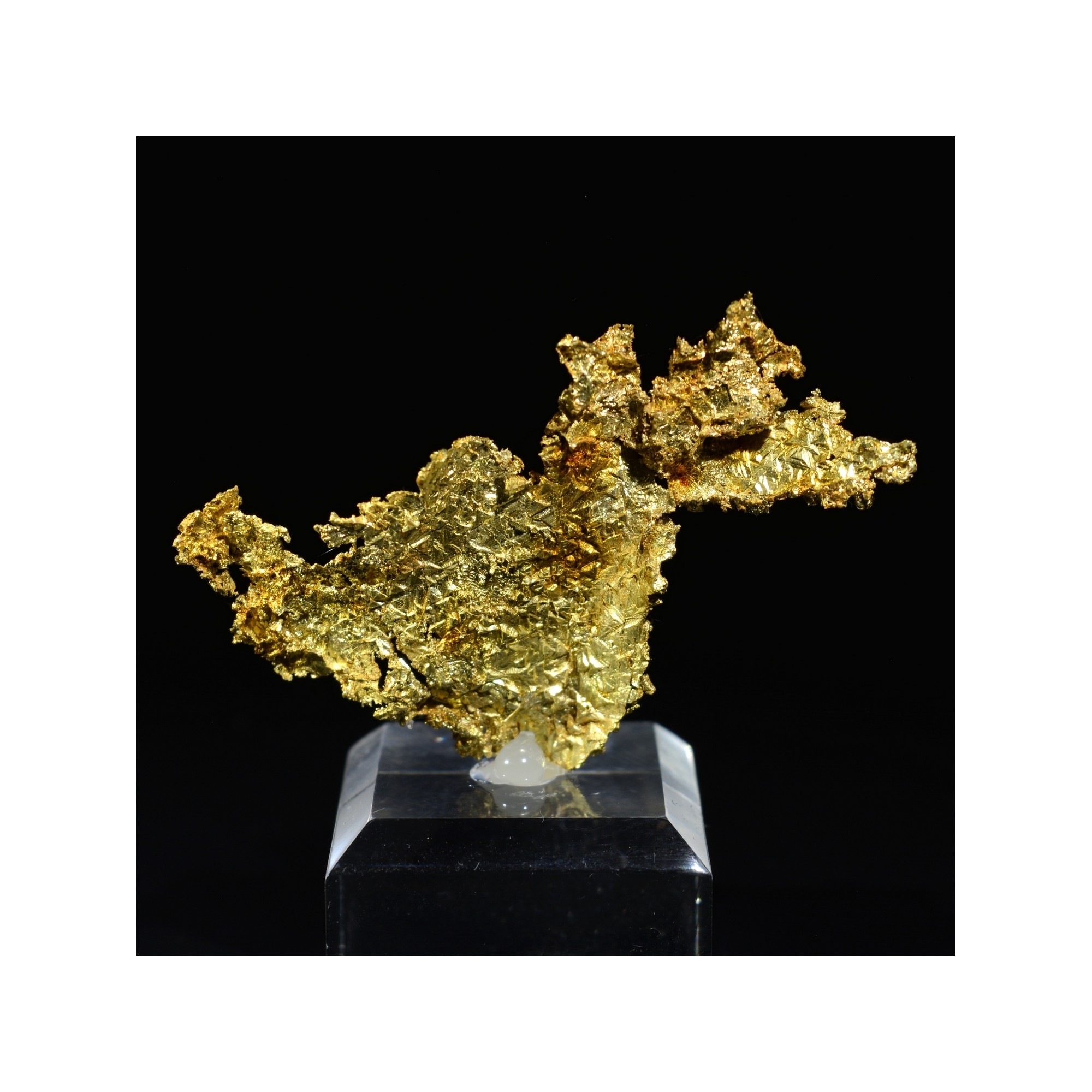 Cristallized gold - Oriental mine, California, USA
