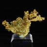 Cristallized gold - Oriental mine, California, USA