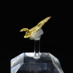 Cristallized gold - Aouint Ighoumane, Assa-Zag Province, Guelmim-Oued Noun Region, Morocco