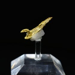 Cristallized gold - Aouint Ighoumane, Assa-Zag Province, Guelmim-Oued Noun Region, Morocco