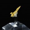 Cristallized gold - Aouint Ighoumane, Assa-Zag Province, Guelmim-Oued Noun Region, Morocco