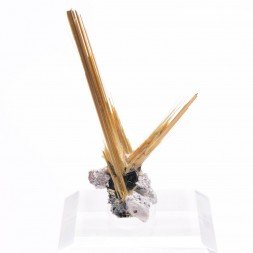 Rutile and hematite - Novo Horizonte, Bahia, Brazil