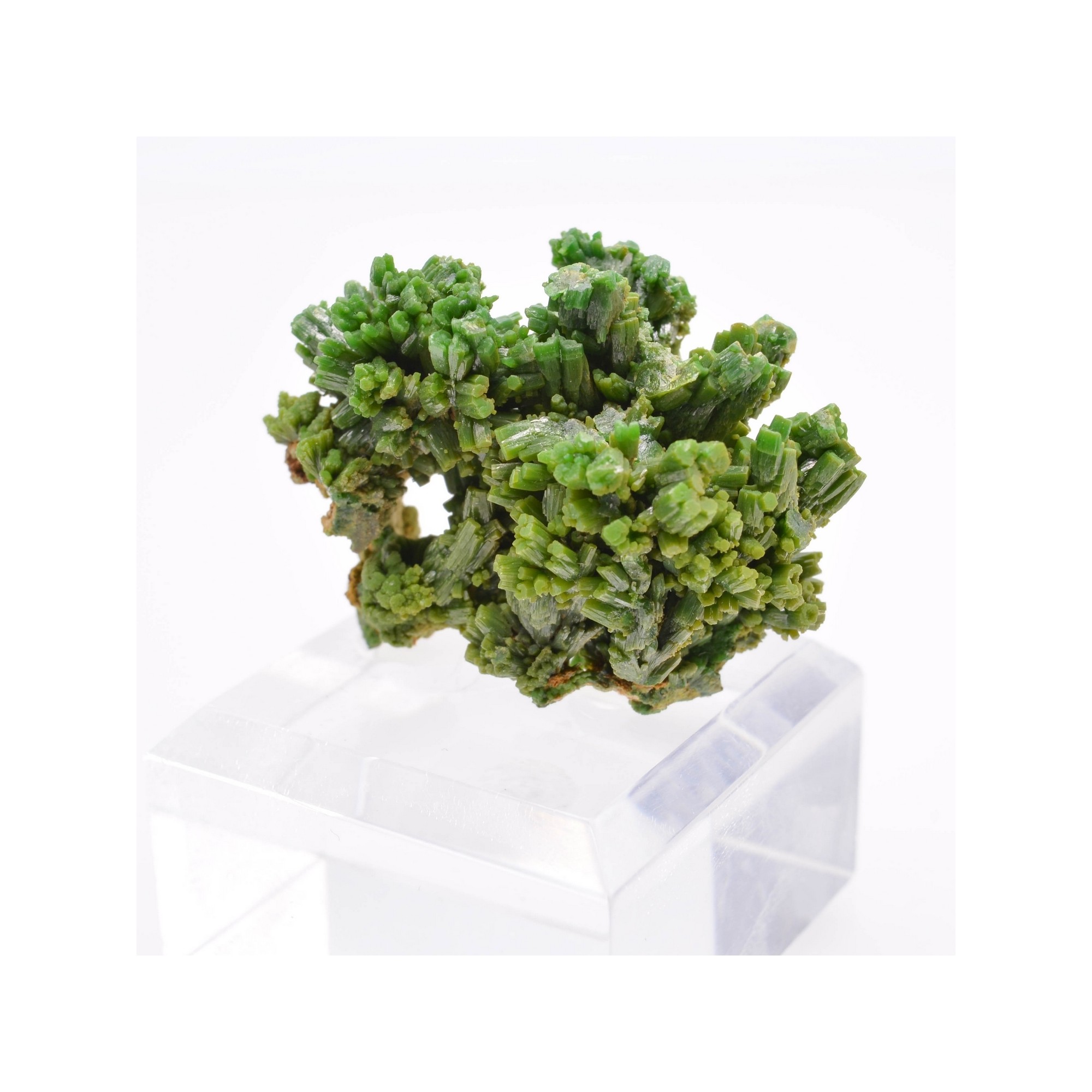 Pyromorphite - Mine des Farges, Ussel, Corrèze, France