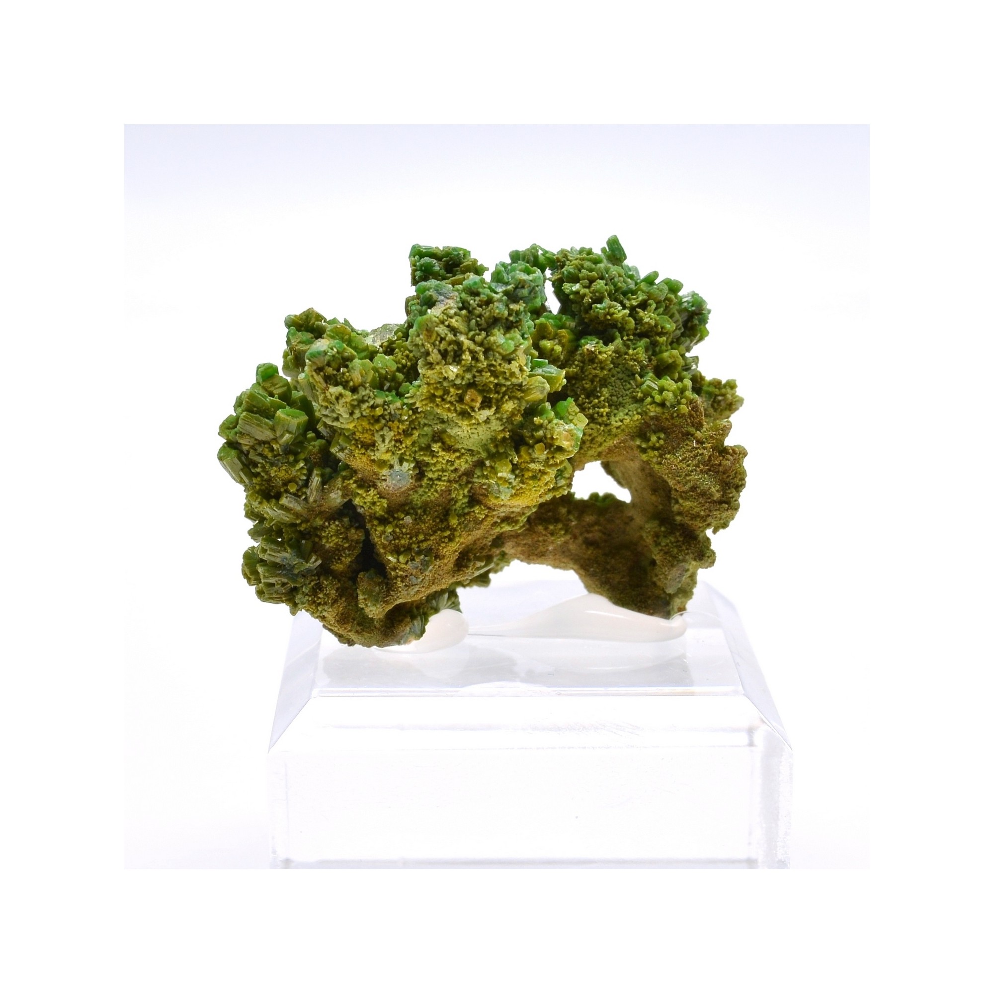 Pyromorphite - Mine des Farges, Ussel, Corrèze, France