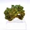 Pyromorphite - Mine des Farges, Ussel, Corrèze, France