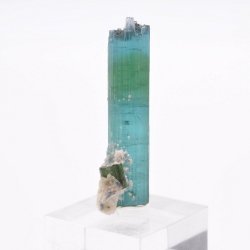 Tourmaline - Santa Rosa mine, Itambacuri, Minas Gerais, Brazil