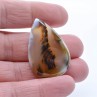 Agate, Montana, USA