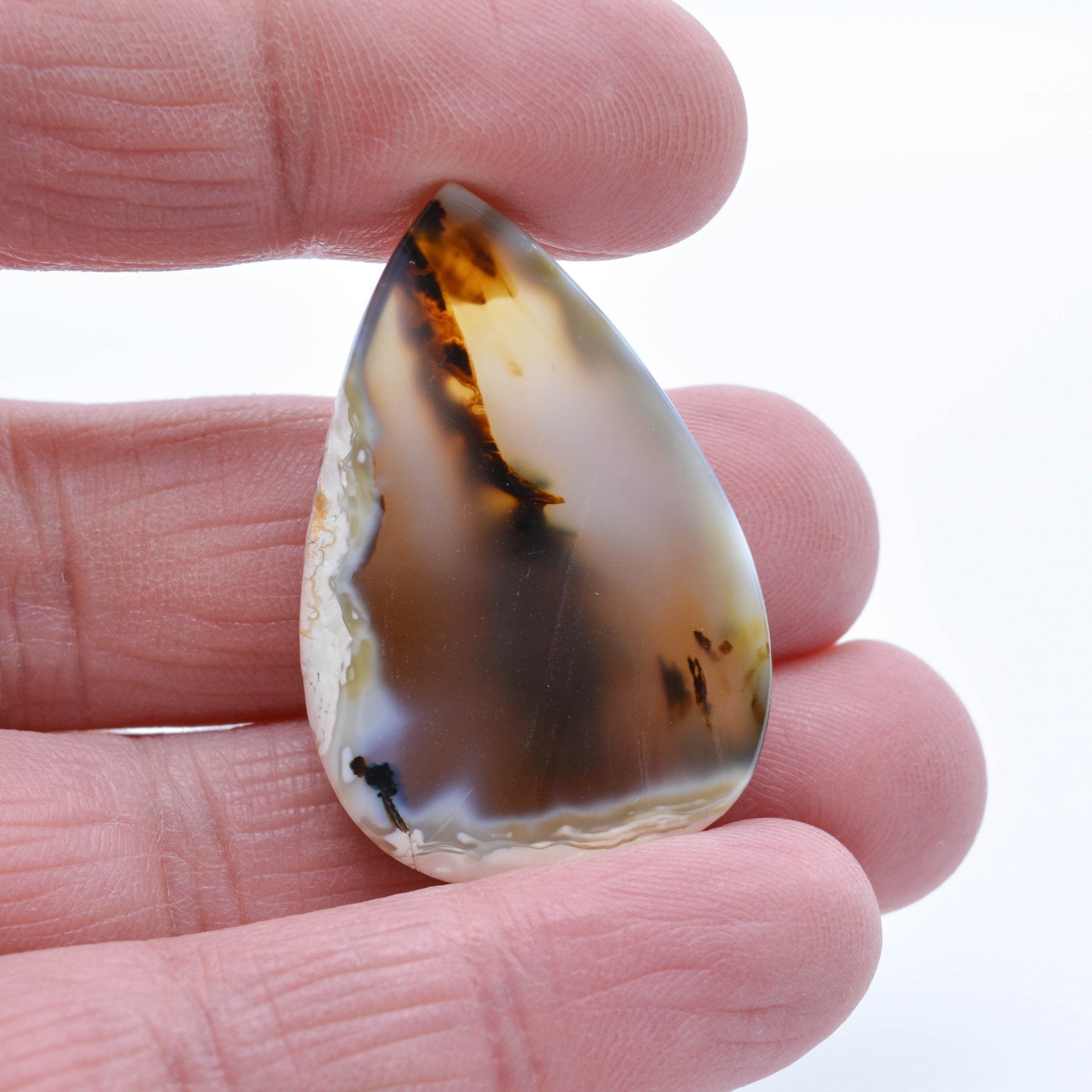 Agate, Montana, Etats-Unis