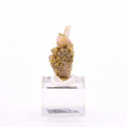 Gold on quartz - Morbihan, France