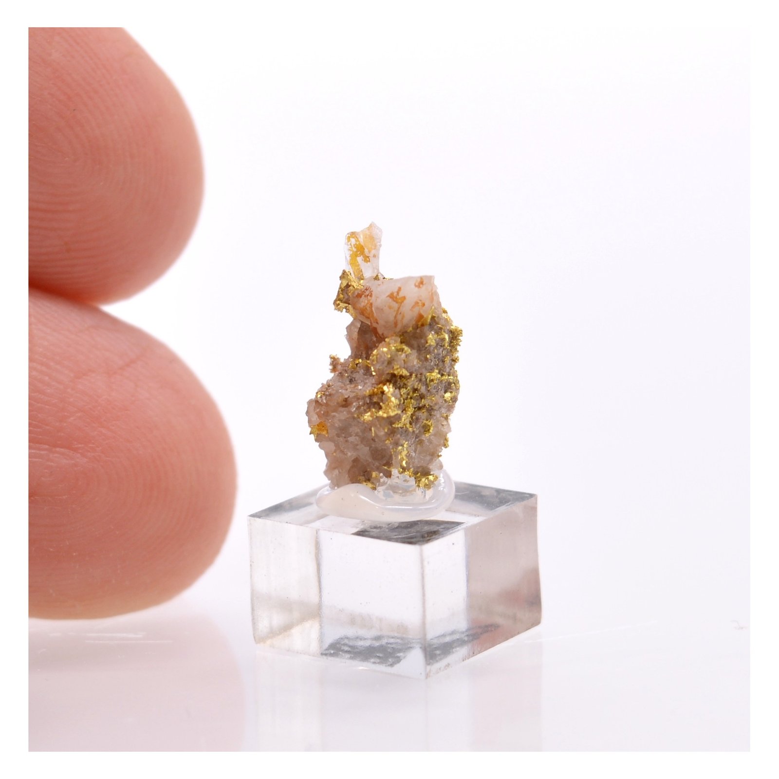 Gold on quartz - Morbihan, France