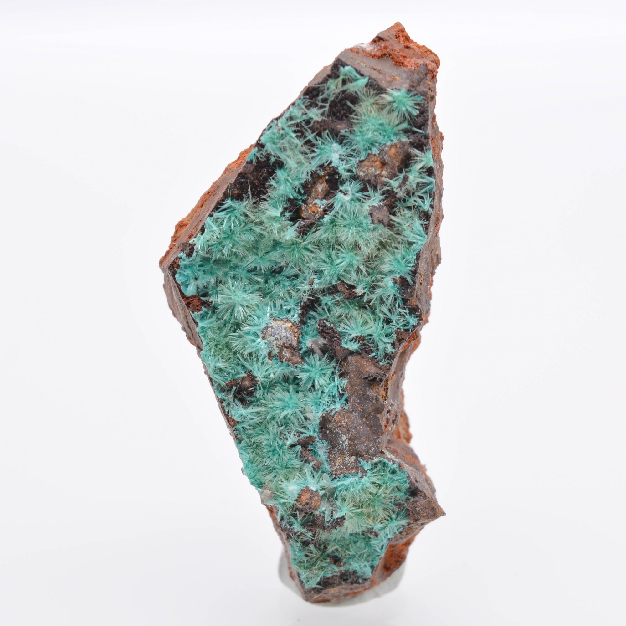 Aurichalcite - Mine Ojuela, Mapimi, Durango, Mexique