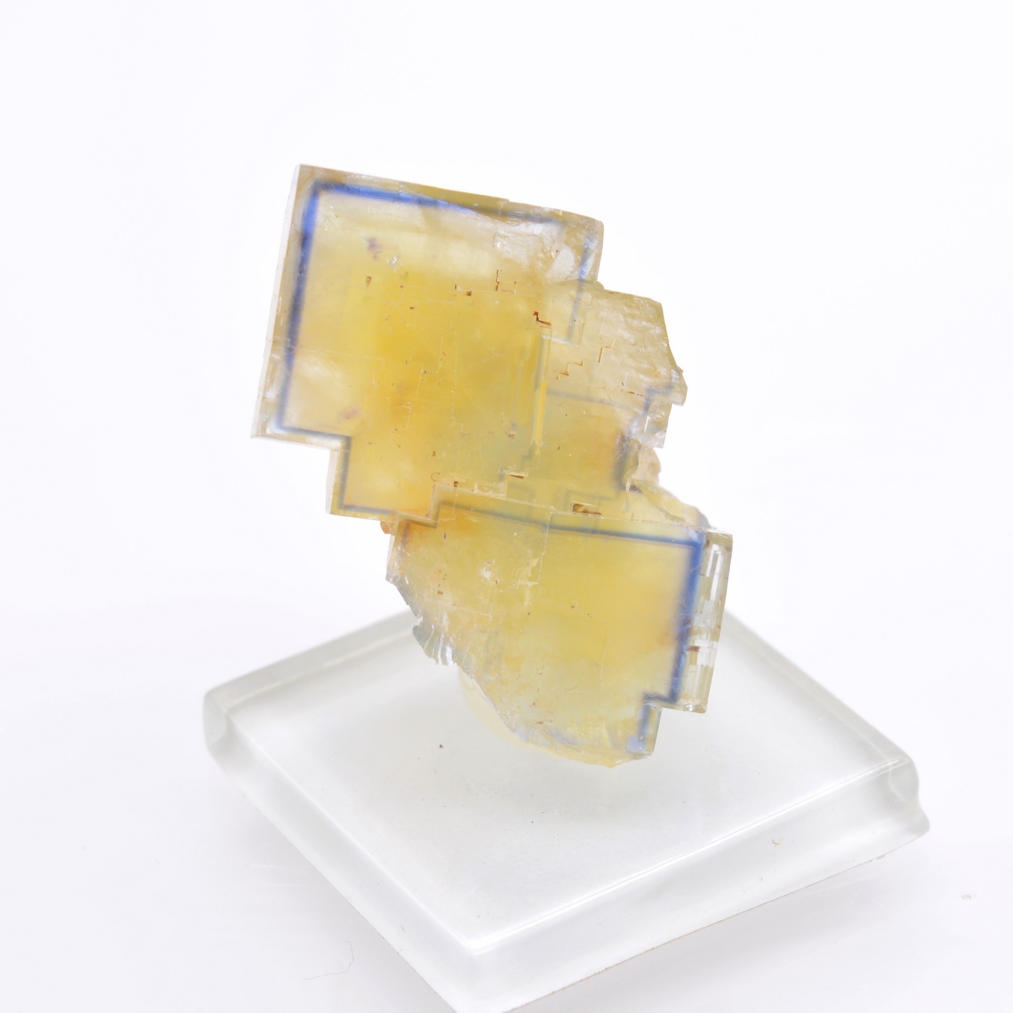 Yellow fluorite with blue border - La Barre mine, Puy-de-Dôme, France