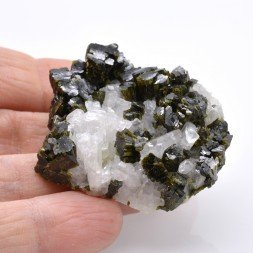 Epidote and albite - Tête des Toilies, Hautes-Alpes, France