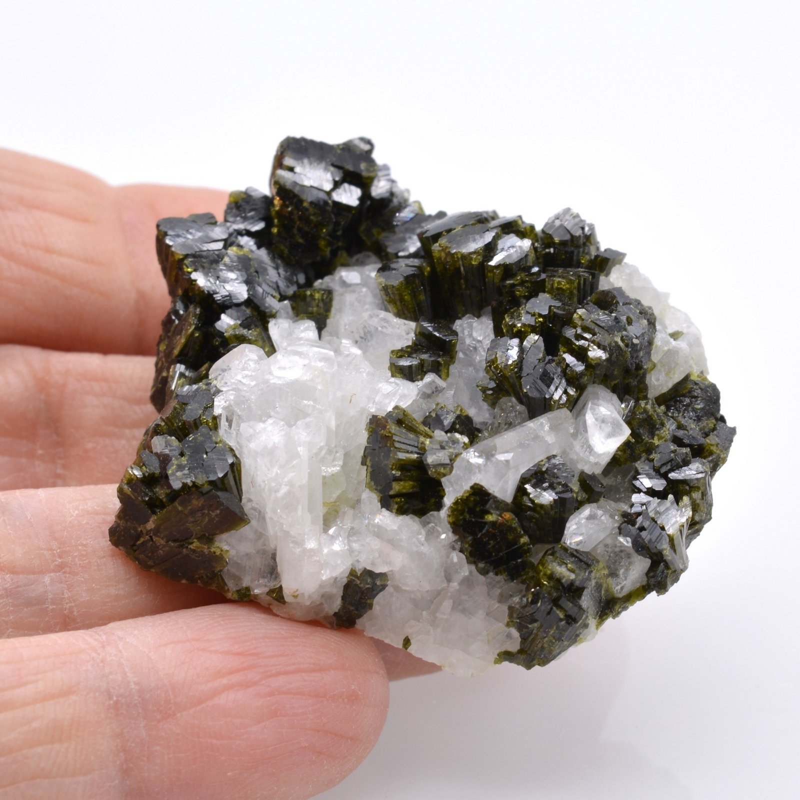 Epidote et albite - Tête des Toilies, Hautes-Alpes, France