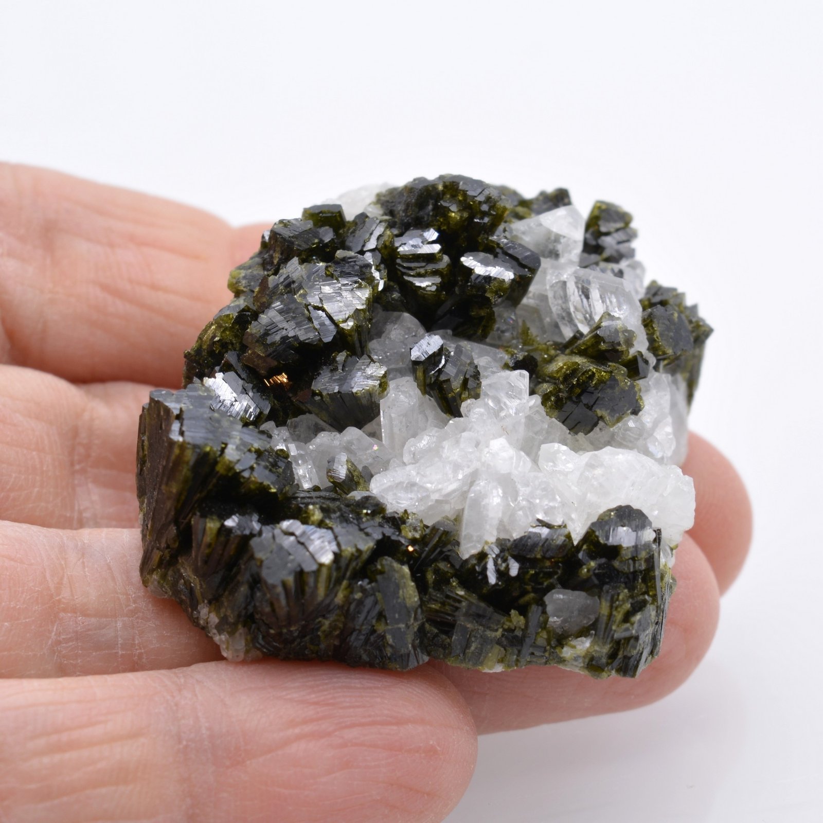 Epidote et albite - Tête des Toilies, Hautes-Alpes, France