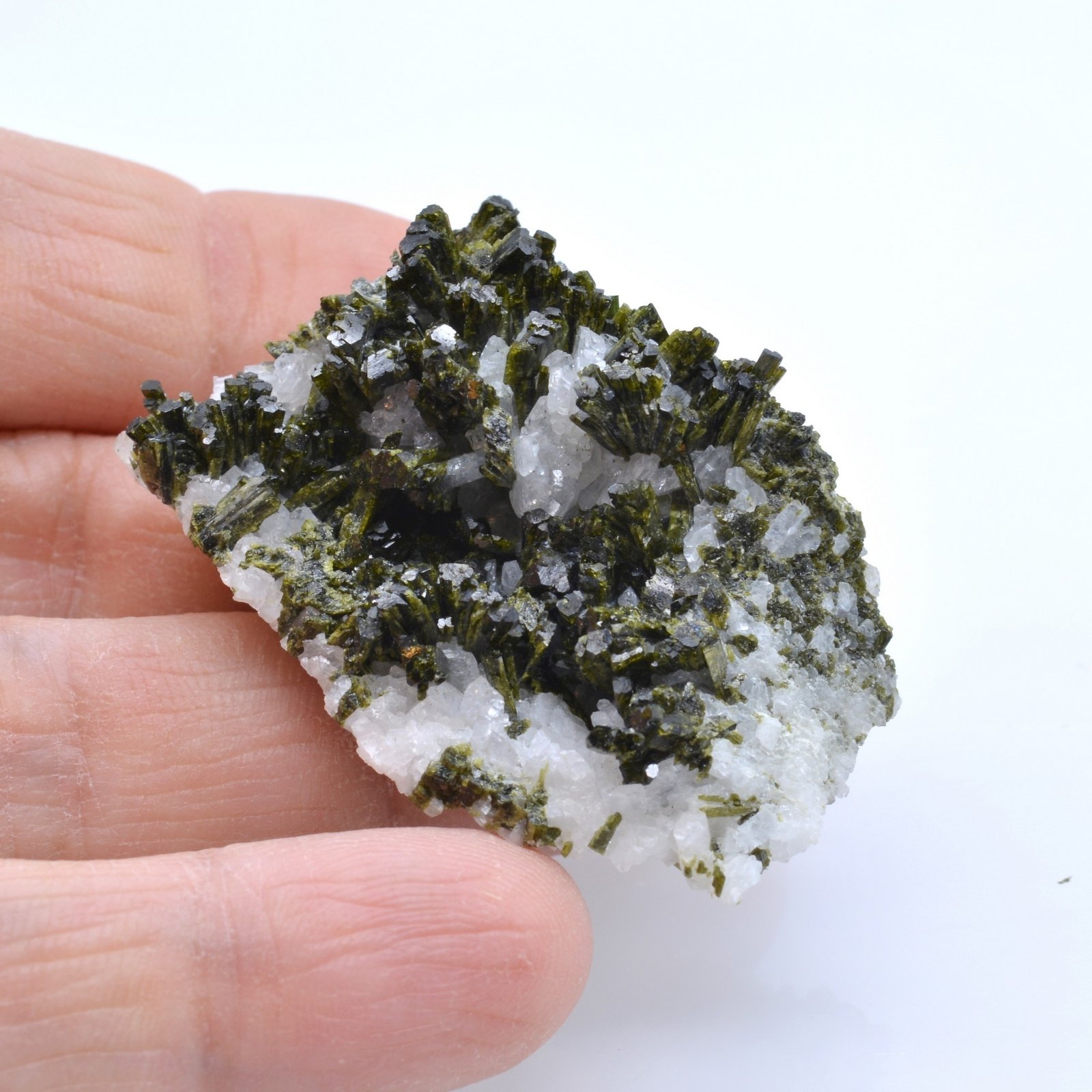 Epidote et albite - Haute Ubaye, Alpes-de-Haute-Provence, France