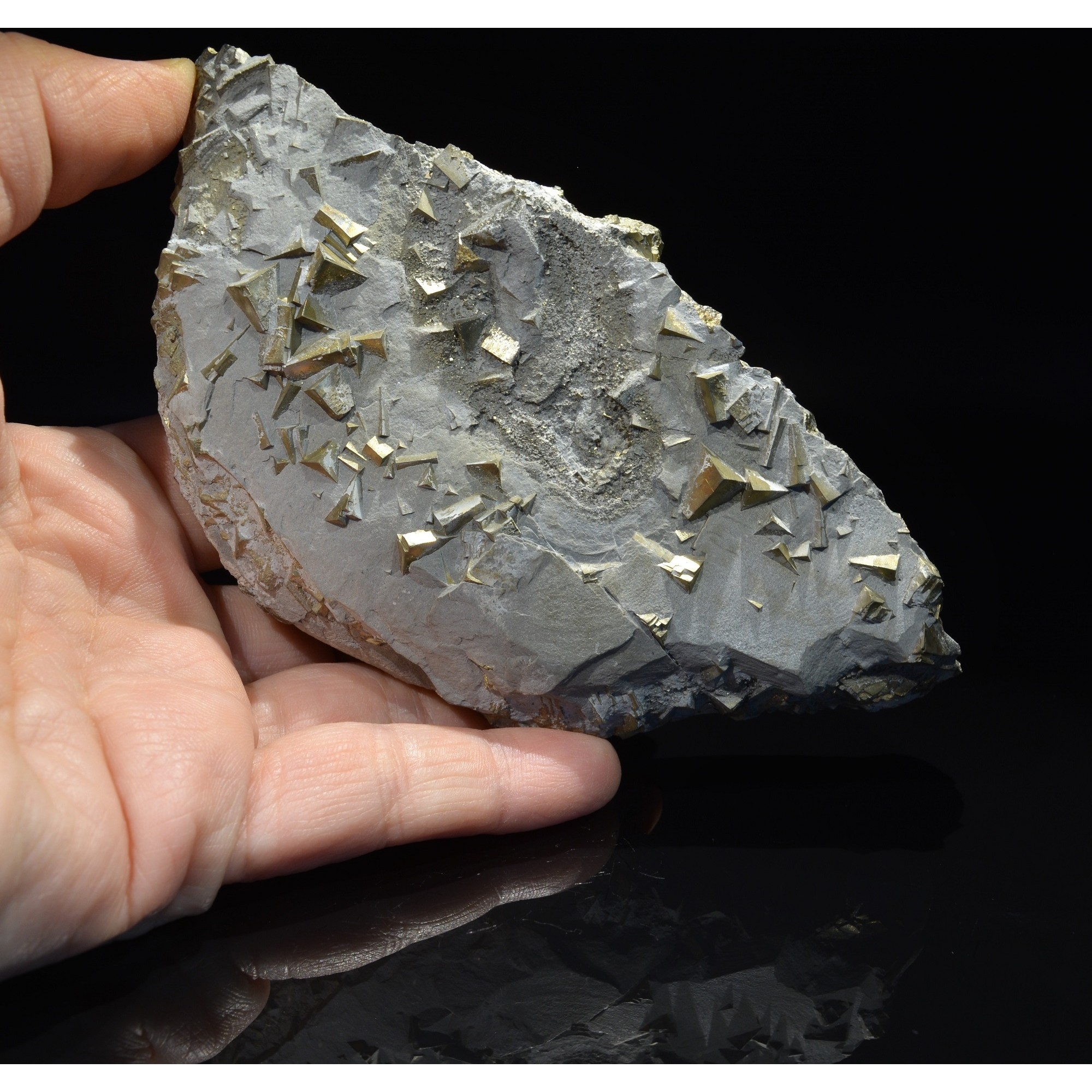 Pyrite - Saint-Denis-d'Orques, Sarthe, France