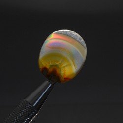 Agate iris, Indonesia