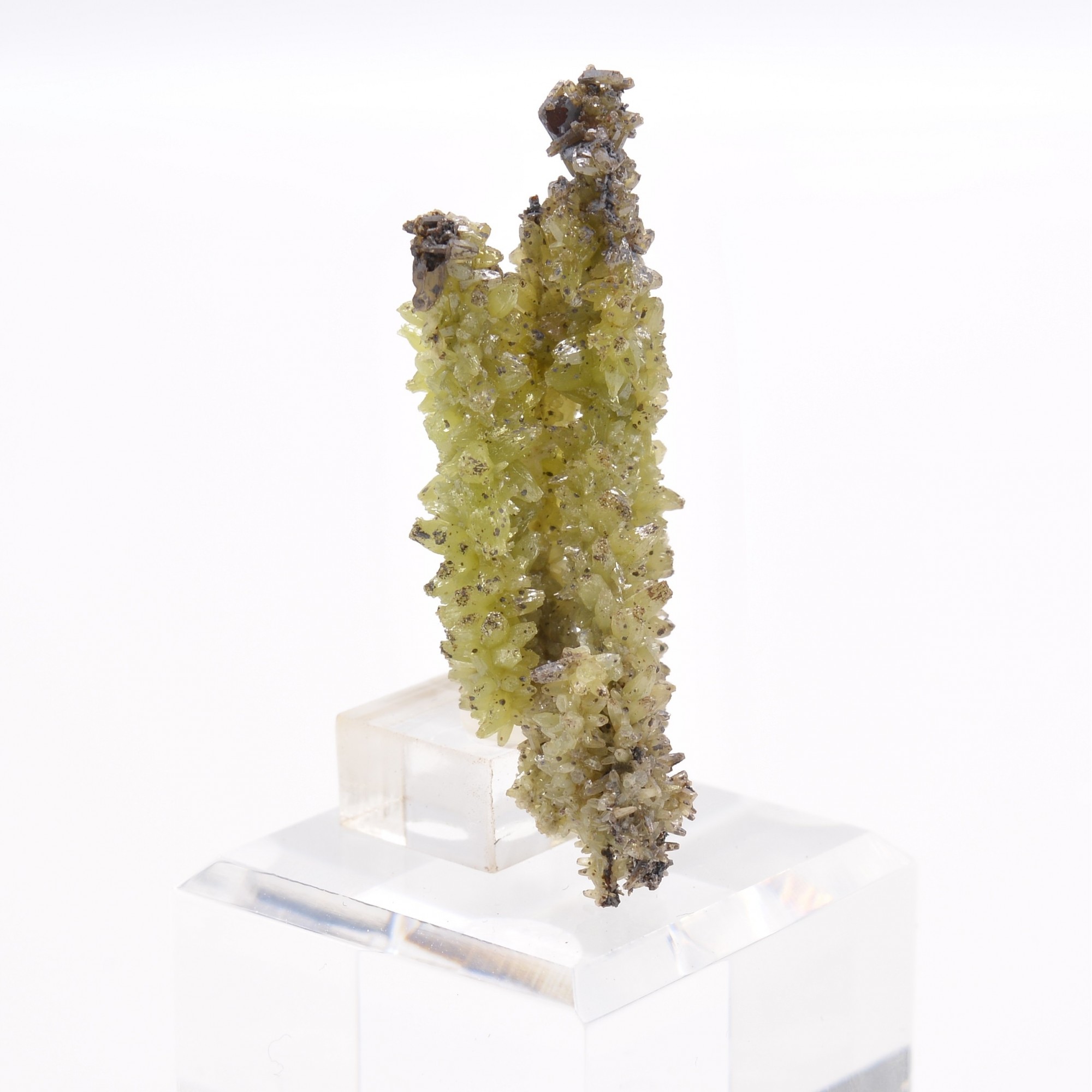 Pyromorphite - Mine Daoping, Gongchen, Guilin, Guangxi, Chine