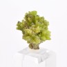 Pyromorphite - Mine Daoping, Gongchen, Guilin, Guangxi, Chine