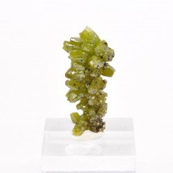 Pyromorphite - Mine Daoping, Gongchen, Guilin, Guangxi, Chine