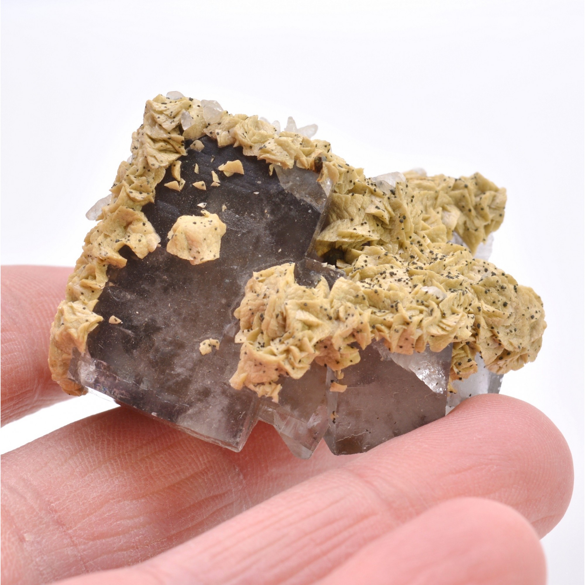 Fluorite, siderite and calcite - El Hamman, Morocco