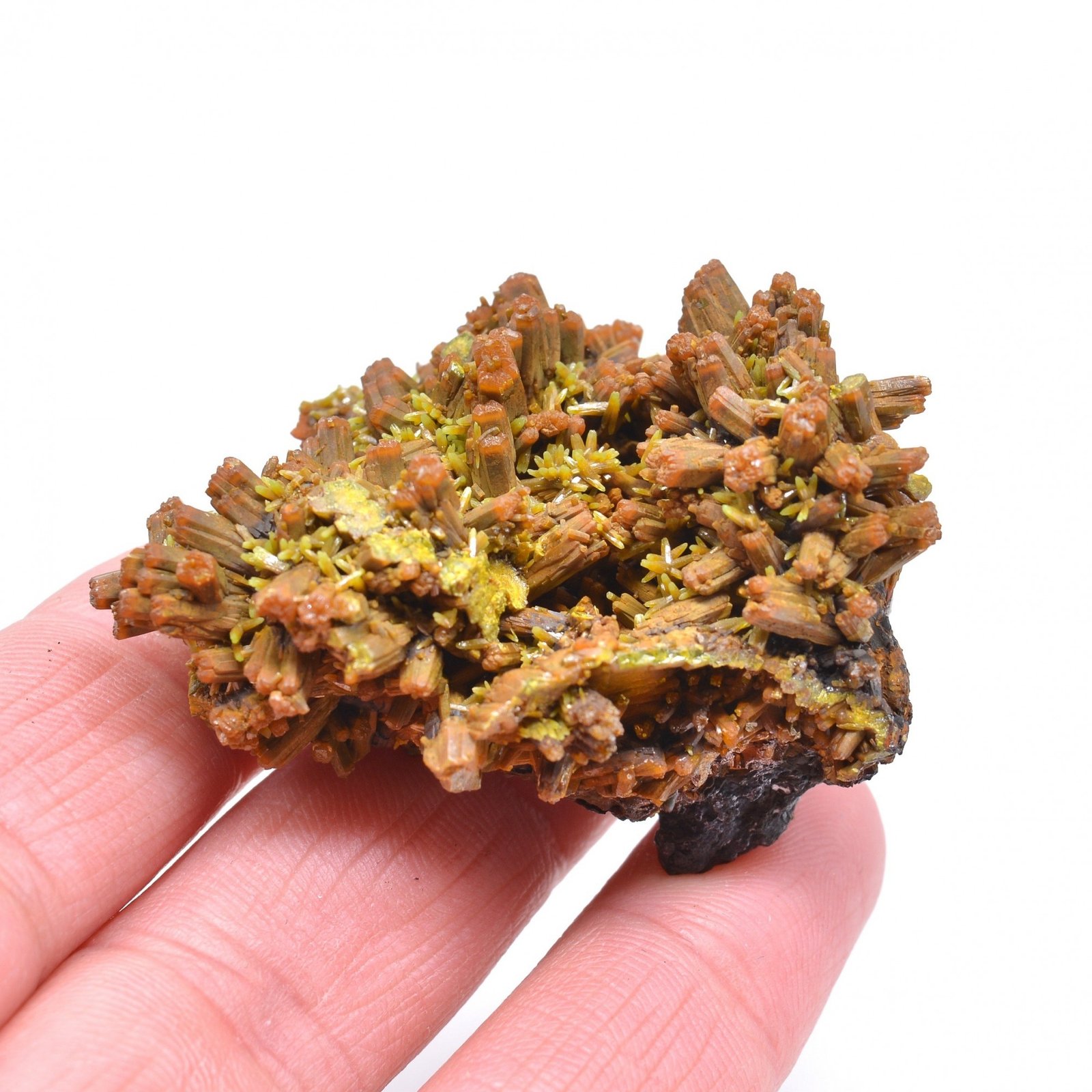 Pyromorphite sur barytine - Mine des Farges, Ussel, Corrèze, France