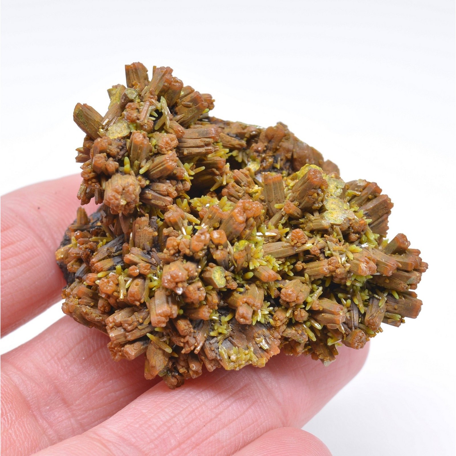 Pyromorphite sur barytine - Mine des Farges, Ussel, Corrèze, France