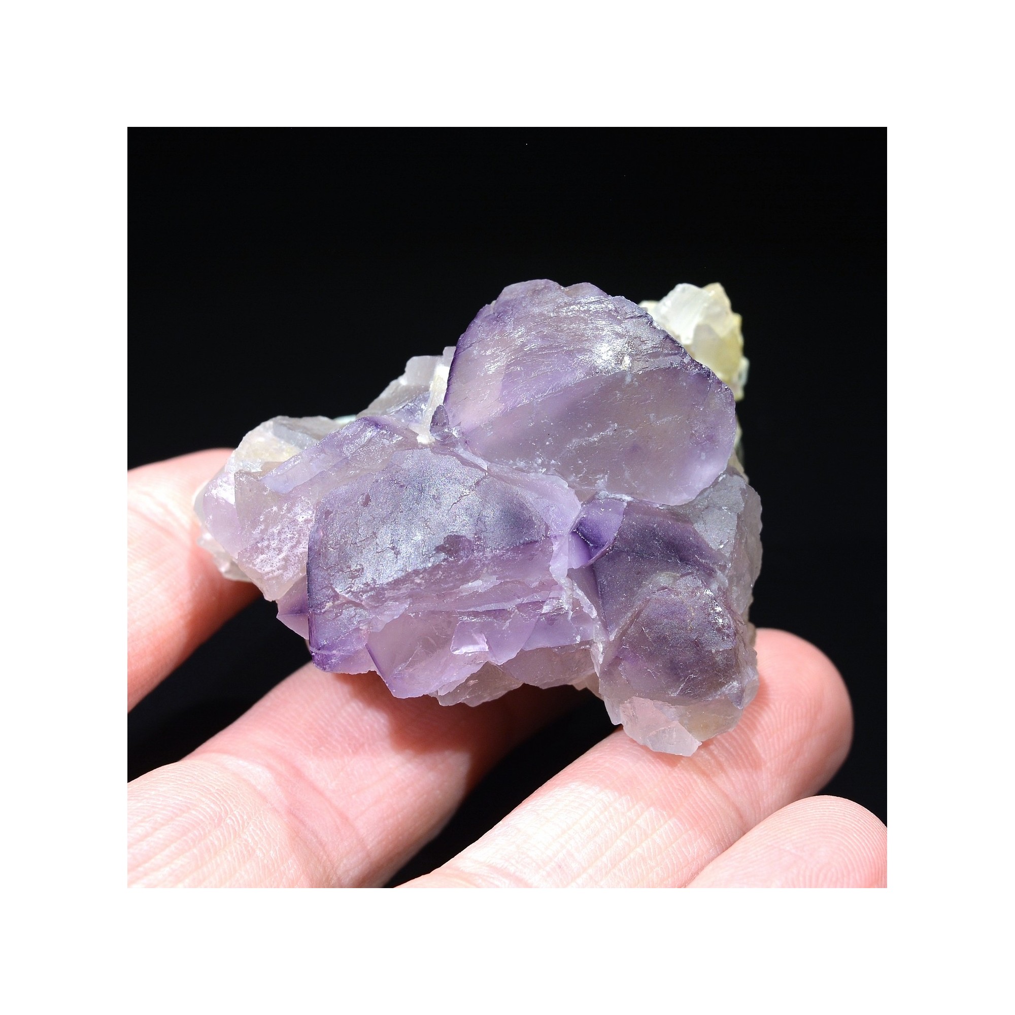 Fluorite - La Barre mine, Puy-de-Dôme, France.