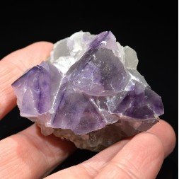 Fluorite - La Barre mine, Puy-de-Dôme, France.