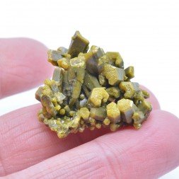 Pyromorphite - Mine des Farges, Ussel, Corrèze, France.