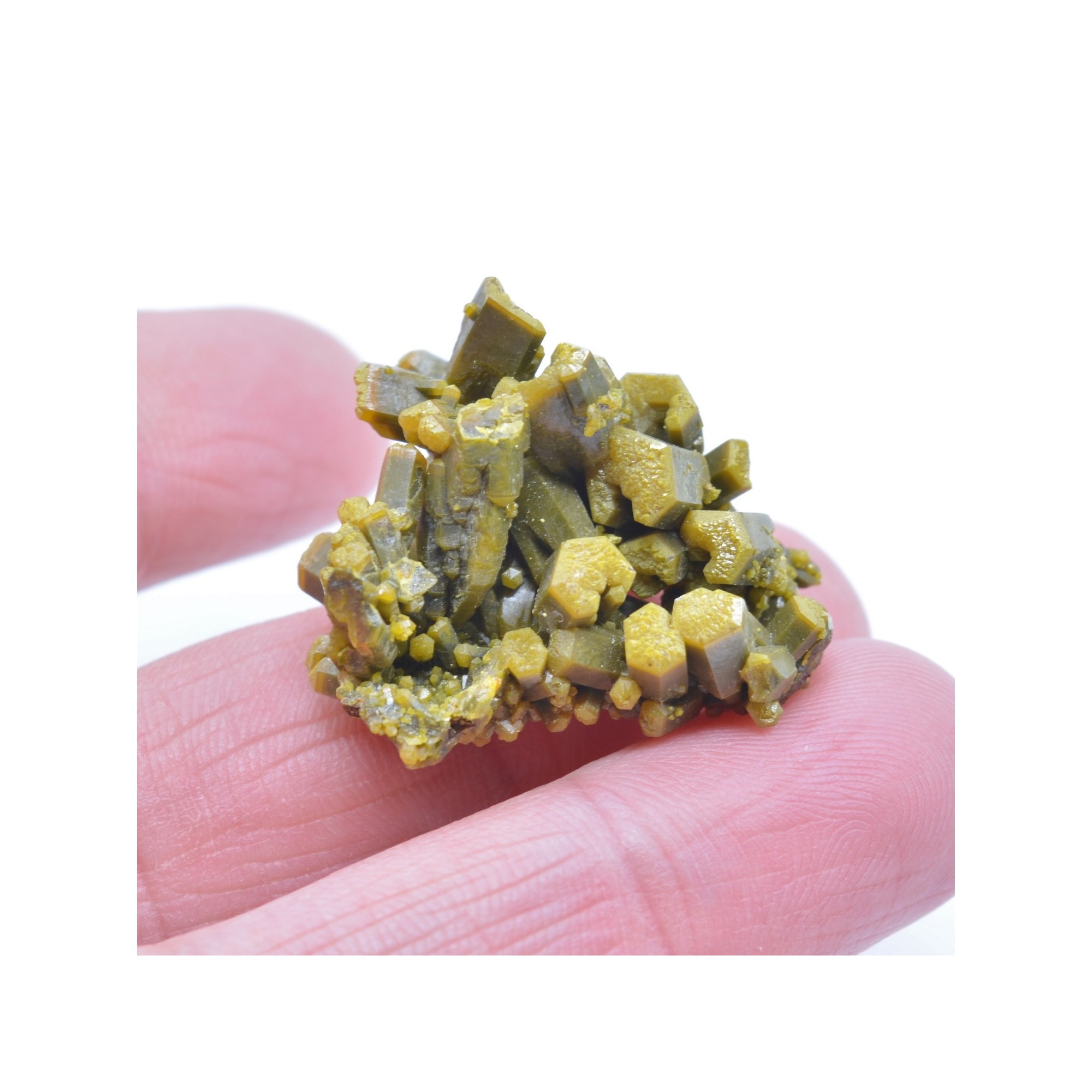 Pyromorphite - Mine des Farges, Ussel, Corrèze, France.