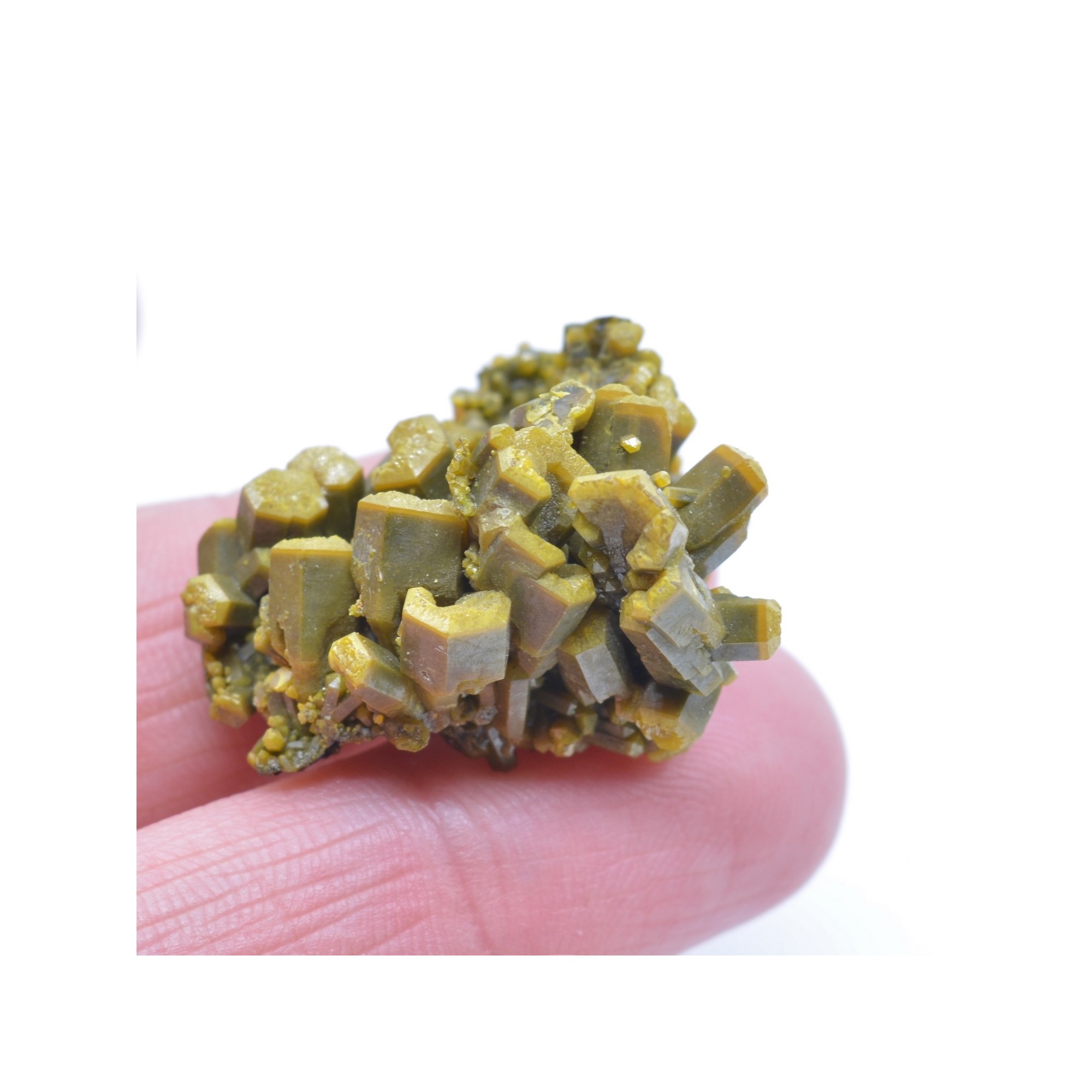 Pyromorphite - Mine des Farges, Ussel, Corrèze, France.