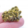 Pyromorphite - Mine des Farges, Ussel, Corrèze, France.