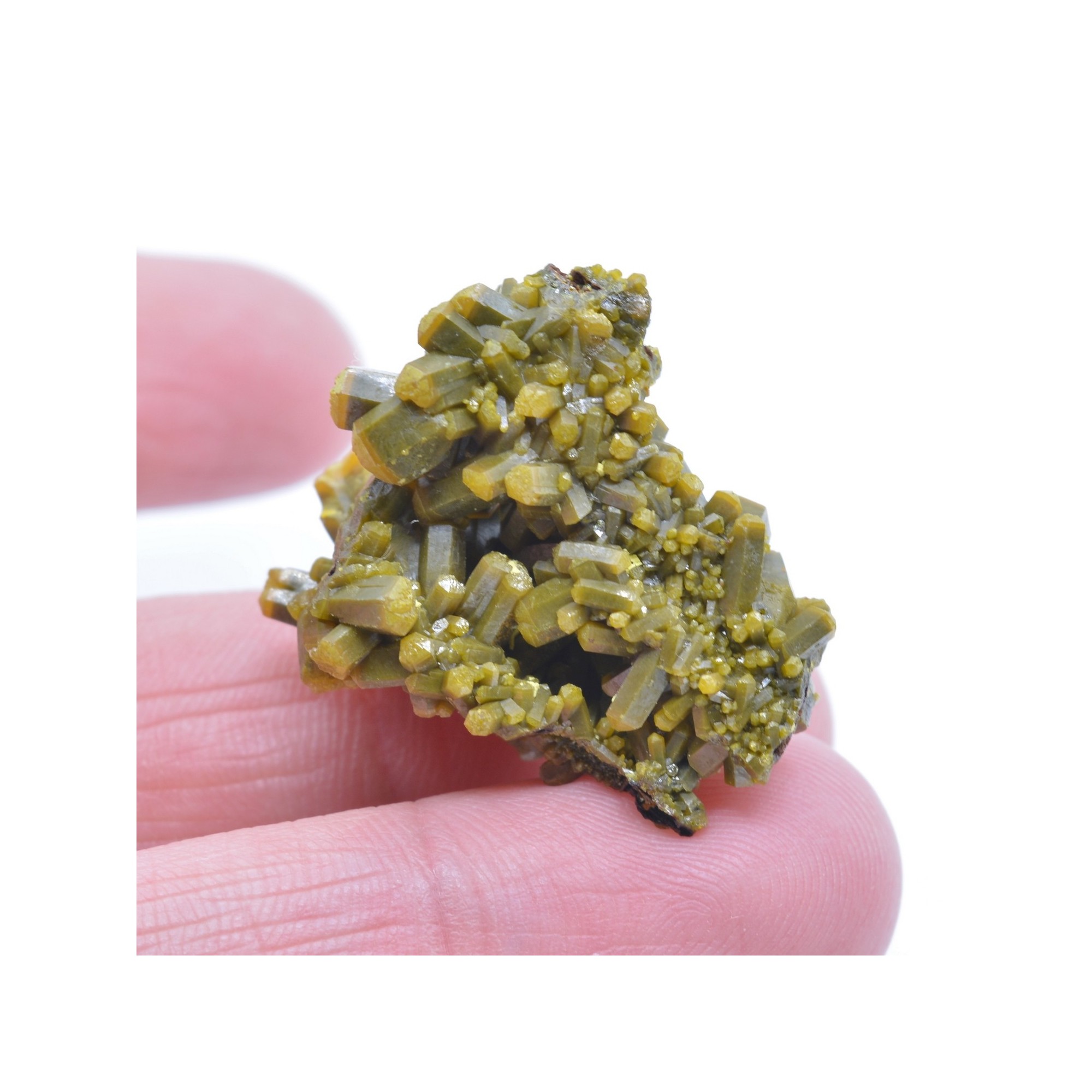 Pyromorphite - Mine des Farges, Ussel, Corrèze, France.