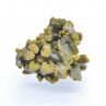 Pyromorphite - Mine des Farges, Ussel, Corrèze, France.