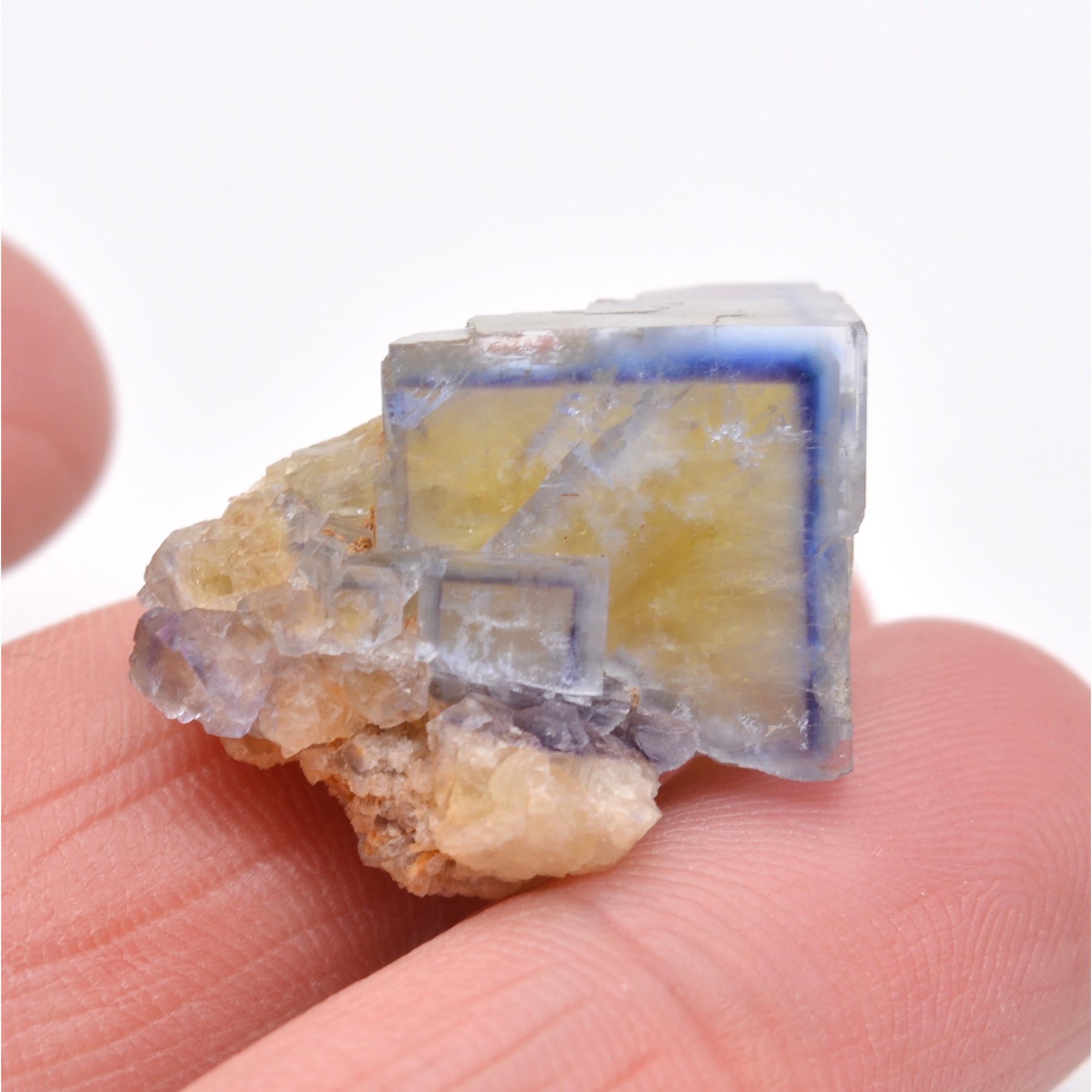 Fluorite, Mine de La Barre, Saint-Jacques d'Ambur, Puy-de-Dôme, France.